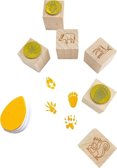 Picture of Colorado Stemple lady w lesie