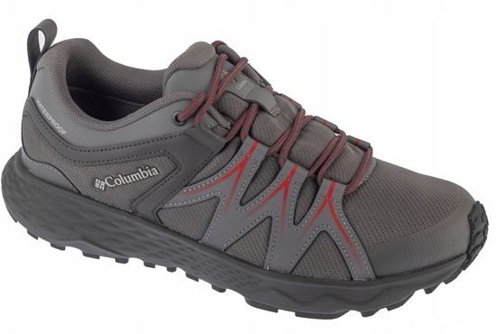 Picture of Columbia Peakfreak Roam WP 2108301023 szary 45