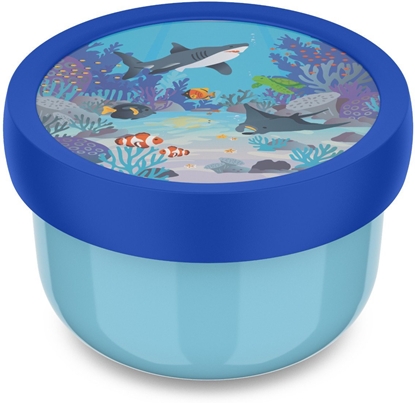 Attēls no Curver Fruit Box pudeko na owoce Campus 300 ml Tropical Ocean