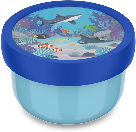 Picture of Curver Fruit Box pudeko na owoce Campus 300 ml Tropical Ocean