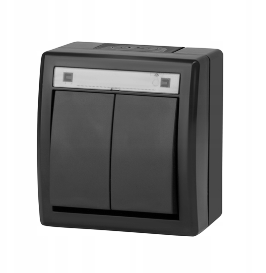 Picture of cznik wiecznikowy hermetyczny Elektro-Plast Nasielsk Aquant 5002-17 natynkowy podwójny IP55 antracyt