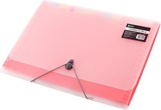 Изображение D.Rect Teczka A4 12 przegródek