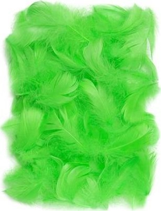 Picture of Dalprint Piórka DPCRAFT 5-12cm 10g Green Dalprint