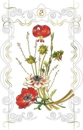 Attēls no DaVinci Karnet 12x18 B-BD 502 063 + koperta Lilie