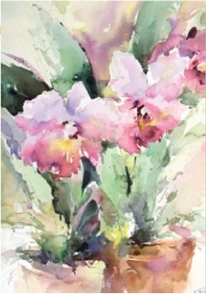 Picture of DaVinci Karnet 12x18 cm B-BJ 202 388 + koperta Róowa róa