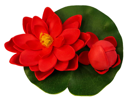 Picture of Dārza dekors Ūdensroze 13cm