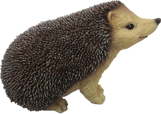Picture of DECORATION HEDGEHOG 19.4X12X14.1CM