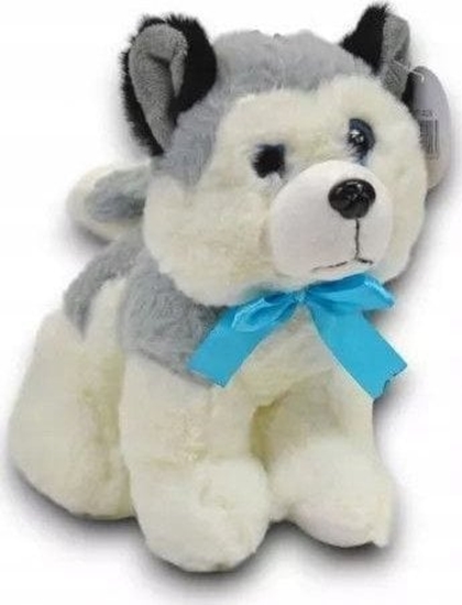 Picture of Deef Husky redni 04026 40260