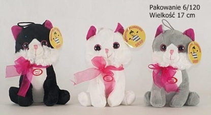 Attēls no Deef Kotek siedzcy