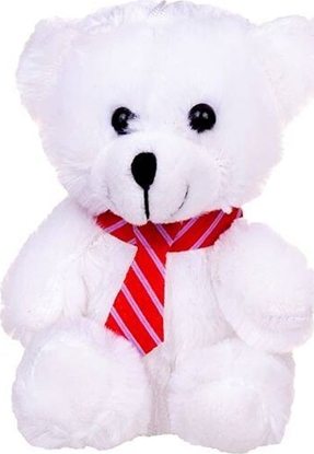 Picture of Deef Misiaczek z krawatem mix 03634 DEEF