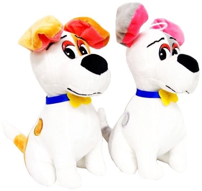 Picture of Deef Piesek z ót muszk (C4036)