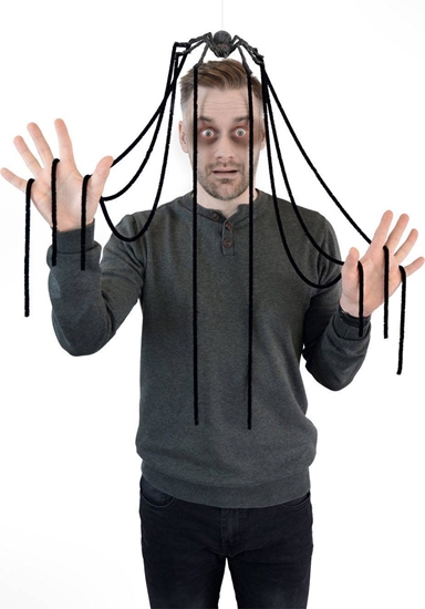 Picture of Dekoracja witeczna Arpex Dekoracja pajk XL z odnókami one size