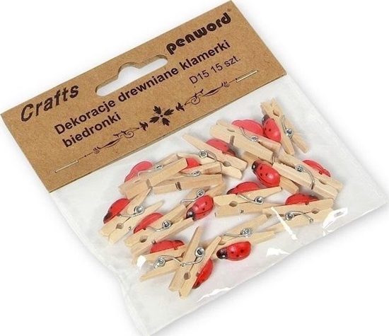 Picture of Dekoracje drewniane klamerki biedronki 15szt