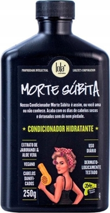 Attēls no Delia LOLA COSMETICS_Morte Subita odywka do wosów 250ml