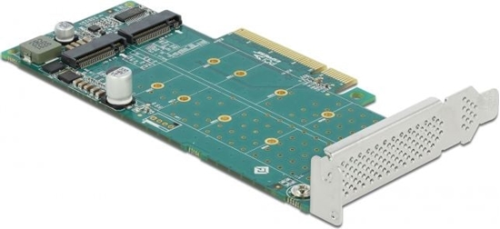 Picture of Delock PCI Express x8 Card to 2 x internal NVMe M.2 Key M - Bifurcation - Low Profile Form Factor