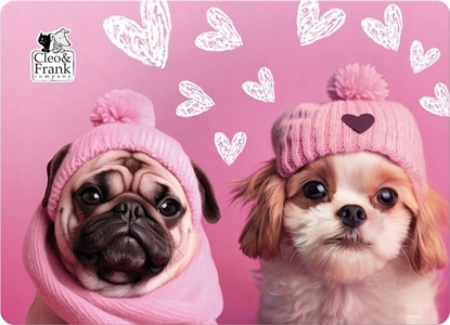 Picture of Derform MATA NA STOL PP 290X400 CLEO I FRANK 42 DERF