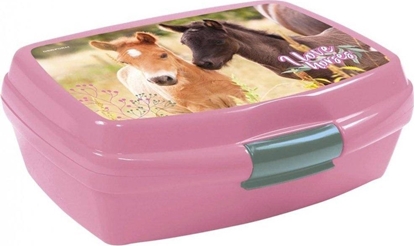 Изображение Derform niadaniówka Konie 24 Derform