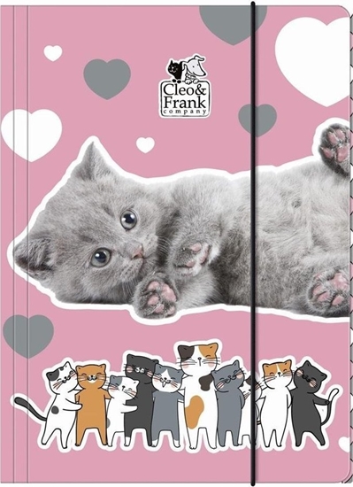 Изображение Derform TECZKA Z GUMKA PAP A4 CLEO I FRANK 39 DERF 1/10