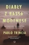 Picture of Diaby z Bassa Modenese EDUKAMP