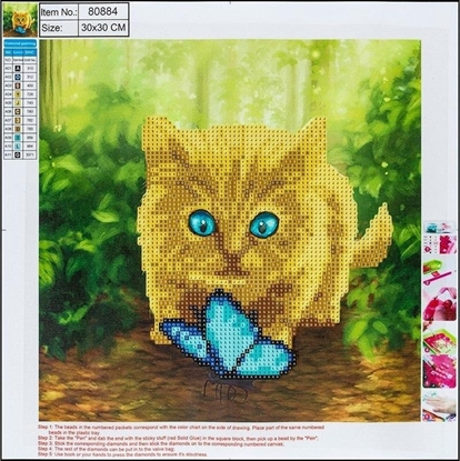 Изображение Diamentowa mozaika 5D - Cat&Butterfly 30x30 80884