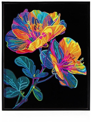 Attēls no DIAMOND DOTZ ADULTS FLOCKED NEON FLORAL