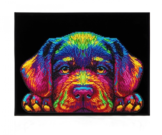 Picture of DIAMOND DOTZ ADULTS NEON PUPPY