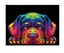 Picture of DIAMOND DOTZ ADULTS NEON PUPPY