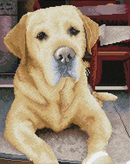 Picture of DIAMOND DOTZ Haft diamentowy Diamond Dotz Diamentowa mozaika Labrador King 48x58cm DQ10027