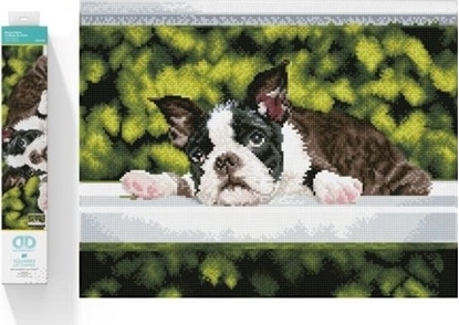 Picture of DIAMOND DOTZ Haft diamentowy Diamond Dotz Diamentowa mozaika Piesek lecy Boston Blues 55x45cm DQ10018