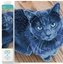 Picture of DIAMOND DOTZ Haft diamentowy Diamond Dotz Kot velvet 45,5x38cm DQ8002