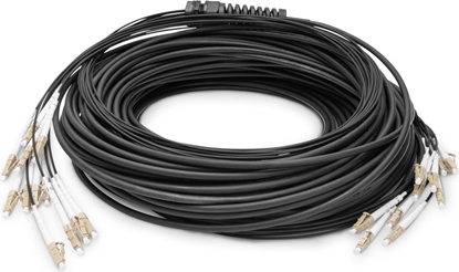 Изображение Digitus Pre-assembled Fiberglass Universal Breakout Cable, Multi Mode OM4, 12 Fibers, LC/UPC - LC/UPC