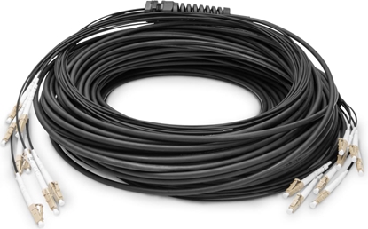 Изображение Digitus Pre-assembled Fiberglass Universal Breakout Cable, Multi Mode OM4, 8 Fibers, LC/UPC - LC/UPC