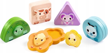 Picture of Djeco Djeco Magnetinis aidimas - kis Kimami