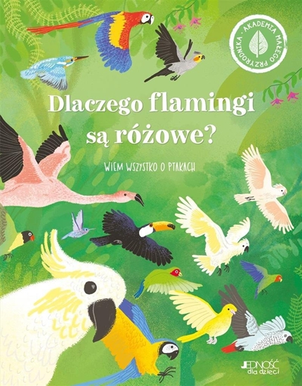 Изображение Dlaczego flamingi s róowe? Wiem wszystko o.. EDUKAMP