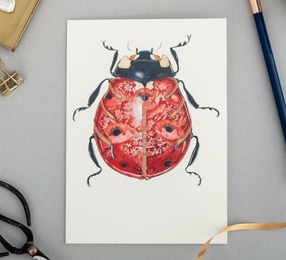 Picture of DM Collection Karnet A066 B6 + koperta Biedronka