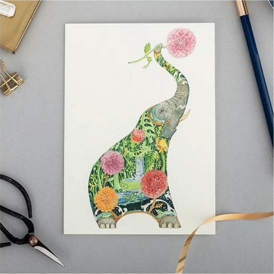 Picture of DM Collection Karnet A085 B6 + koperta So z kwiatami