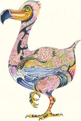 Picture of DM Collection Karnet A108 B6 + koperta Ptak dodo