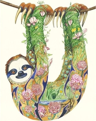 Picture of DM Collection Karnet A116 B6 + koperta Leniwiec