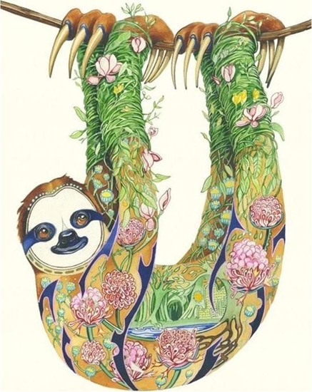 Picture of DM Collection Karnet A116 B6 + koperta Leniwiec