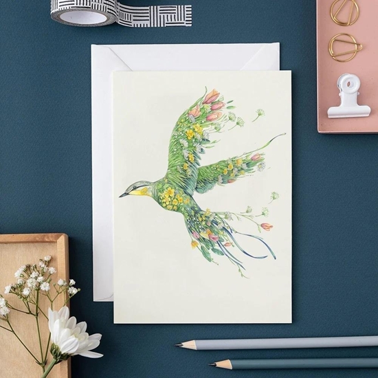 Picture of DM Collection Karnet A152 B6 + koperta Pliszka óta