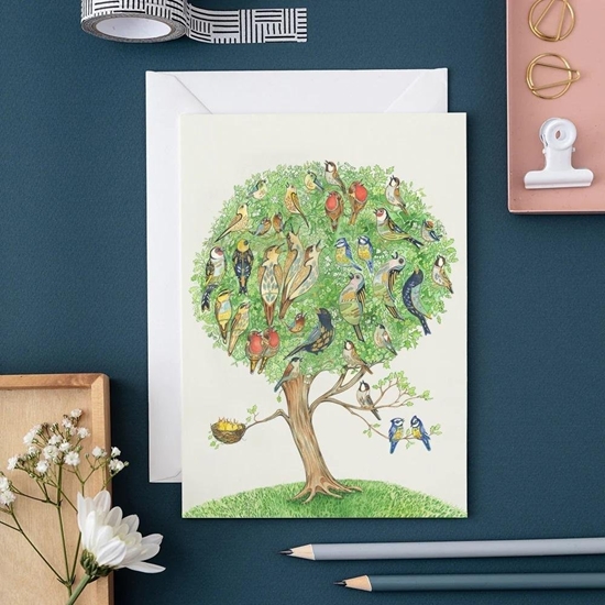 Picture of DM Collection Karnet A153 B6 + koperta Ptasie drzewo