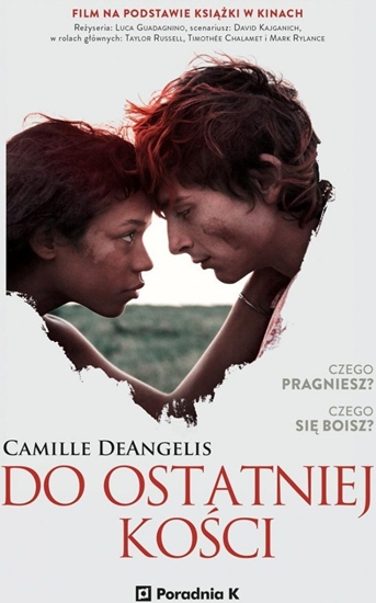 Picture of Do ostatniej koci