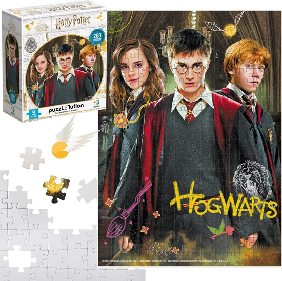 Picture of Dodo Puzzle "Harry Potter I Przyjaciele" 250 Elementów Ukadanka Zestaw Hogwart