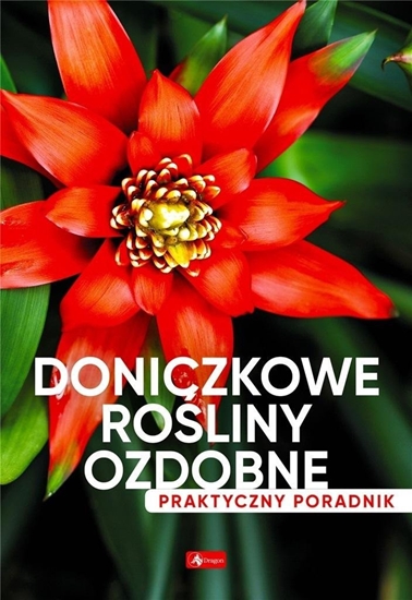 Изображение Dragon Doniczkowe roliny ozdobne. Poradnik praktyczny