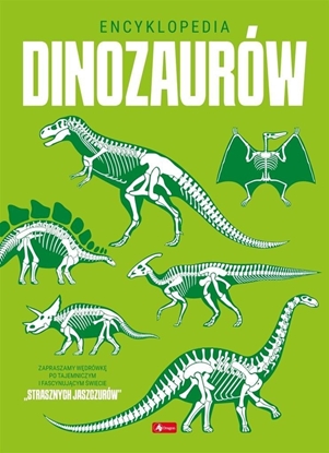 Picture of Dragon Encyklopedia dinozaurów