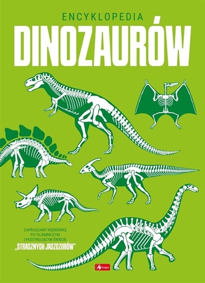 Picture of Dragon Encyklopedia dinozaurów