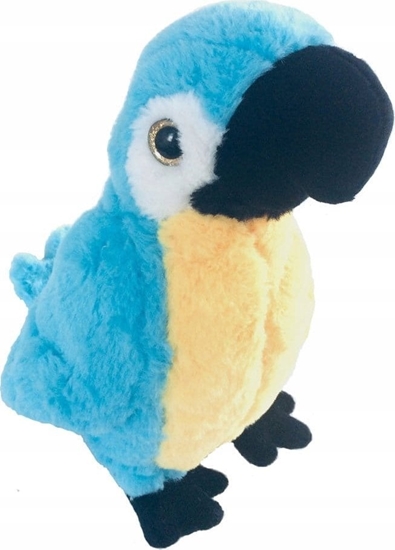 Picture of Dua maskotka pluszowa Papuga Ara niebieska 22cm 13747
