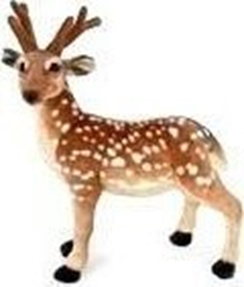 Picture of Dubi Jele 55cm