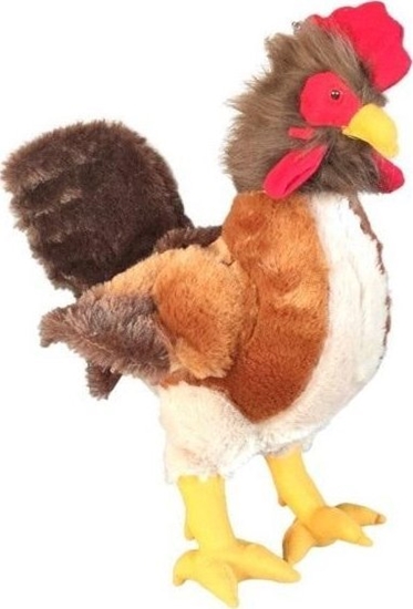 Picture of Dubi Kogut 46cm