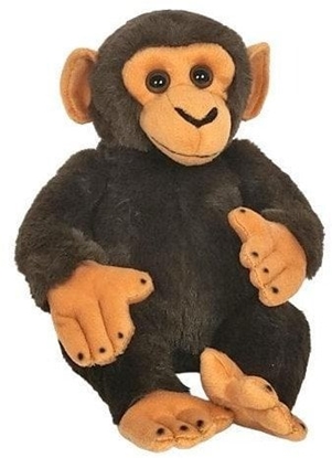 Picture of Dubi Mapa szympans 22cm